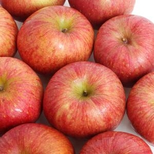 다농이네 가정용 사과 흠과 30~40과 8kg[1개]