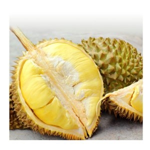 자연향기  냉동통 두리안 아이스박스 과일의왕