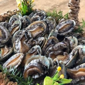 해신수산  완도 활전복 30-40미 1kg