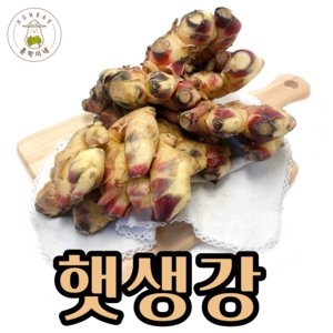 훈박이네 국내산 햇생강 흙 생강 10kg [1개]