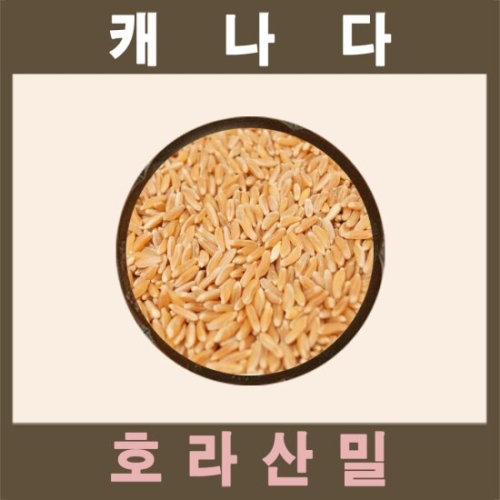 THE큰나무 캐나다산 오리지널 카무트 1kg