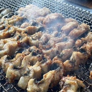 브라더팜  고창 풍천장어 자포니카 1kg 손질후 600g