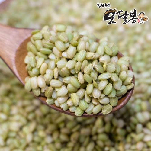 힘찬농부오달봉 강황분말 강황가루 인도산 2kg