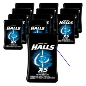 호올스  XS 멘토립터스 멘톨향 캔디  15g  24개입
