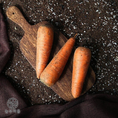 농부마음  제주 구좌 흙당근 3kg 중품