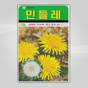 화분월드  민들레 씨앗 1000립