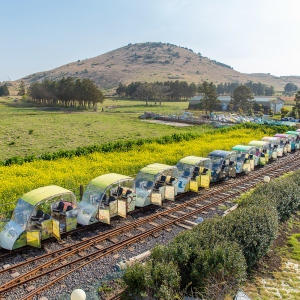 제주 레일바이크