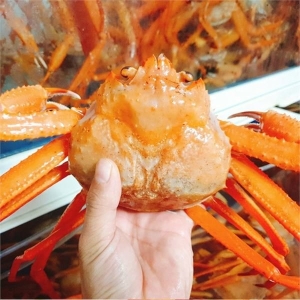 퐁당수산  구룡포 박달홍게 소 2kg [1개]