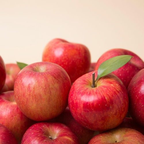 착한식탁  가정용 부사 사과 중대과 10kg