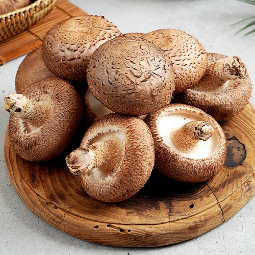 이슬나라 하진이네 버섯뜰에 무농약 표고버섯 1kg