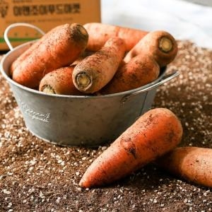 농부마음  제주산 흙당근 5kg 상품