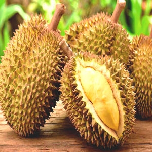 자연미가  급속냉동 깐두리안 450g