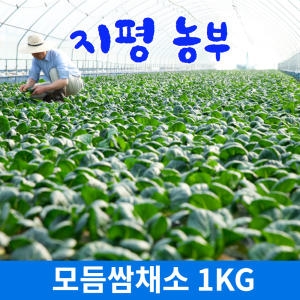 지평 농부 모듬쌈채소 1kg