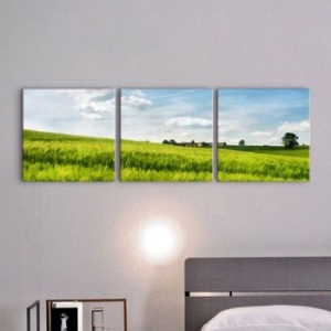 꾸밈  cu230 - 푸른초원 소형 노프레임세트