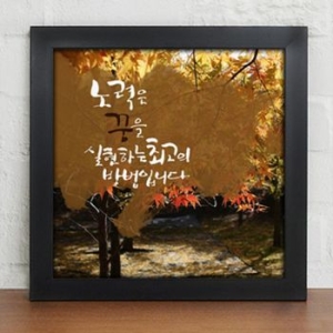 꾸밈  iy021 노력은꿈을실현하는최 고의방법