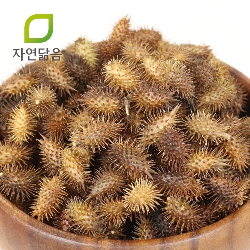 자연닮음 국산 도꼬마리 창이자 독고마리 300g