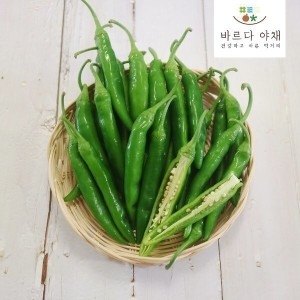 바르다야채 맛있게 매운 청양고추 특 5kg /매운고추
