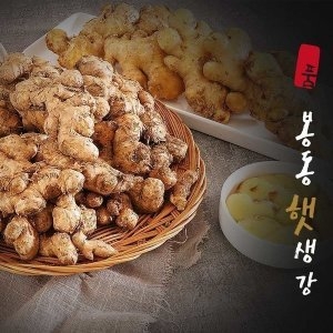 식품의품격  봉동 햇 생강 개량종 흙생강 1kg 씨 종자용 국내산 특상품