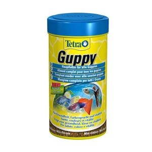 테트라  구피푸드