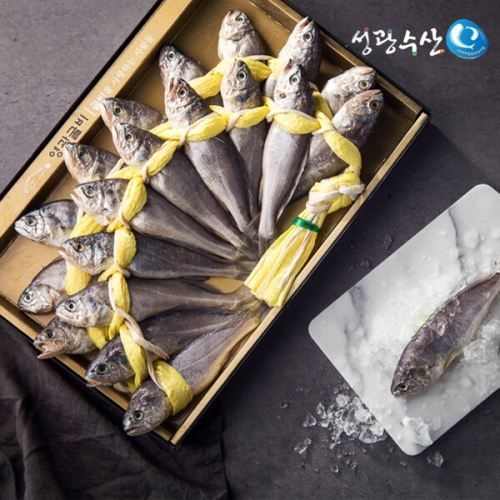 성광수산  영광법성포굴비 4호 18cm 20미 1.55kg