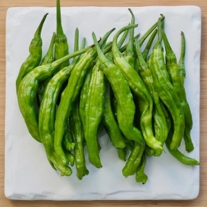 산정마을  국내산 고추 꽈리고추 특 1kg