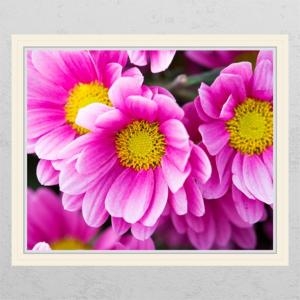 꾸밈  ij219-꽃망울에서피어나는꽃_창문그림액자_뮤럴시트지-