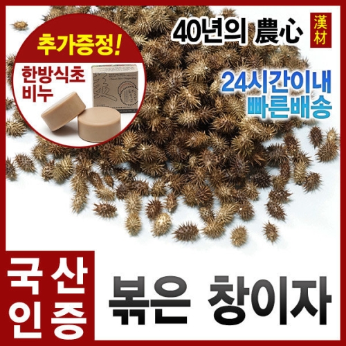 자애인 자연산 볶은 창이자 300g 국산 도꼬마리차