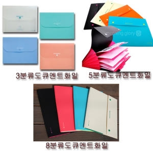 모닝글로리  3분류 도큐멘트화일 A4