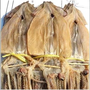 명이랑  동해안 건오징어 20마리 1.2kg