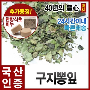 자애인 국산 꾸지뽕 잎 600g