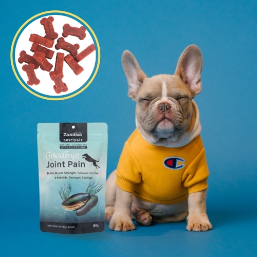 잠보아 뉴트리페어 굿바이 조인트 페인 180g