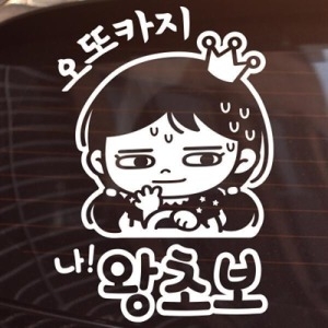 제제데코  초보맞나 맞다