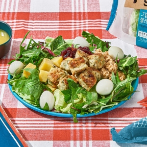 포켓샐러드  뜯어서 바로 먹는 닭가슴살 샐러드