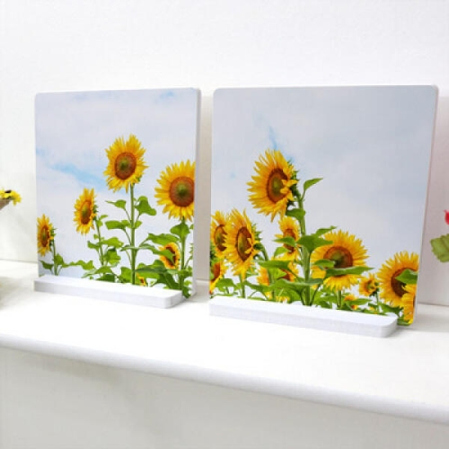 꾸밈  ci633-스탠드액자2P_해바라기풍경4