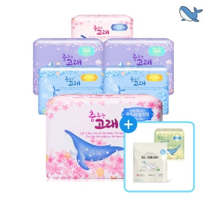 춤추는고래 (중형2+대형2+오버2) 3종 124매