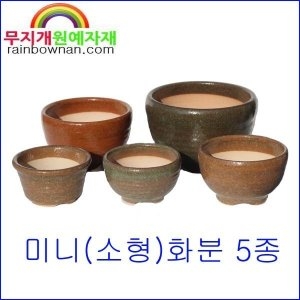 소형화분 미니화분 4종크기 다육 야생화 관엽식물분