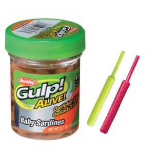 버클리  걸프 얼라이브 베이비사딘 2인치 병타입