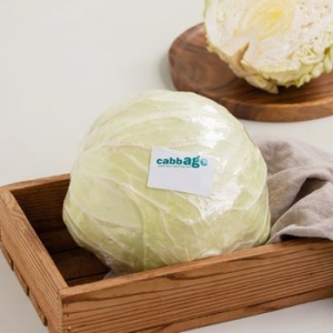 트레이더스  양배추 통 1.5kg