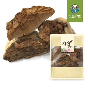 그린약초  자연 말하다 말굽버섯 300g