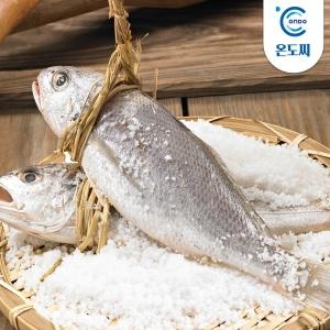 온도씨  영광 법성포 국내산 굴비 20마리 2kg