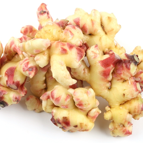 우가네농장  세척생강 10kg