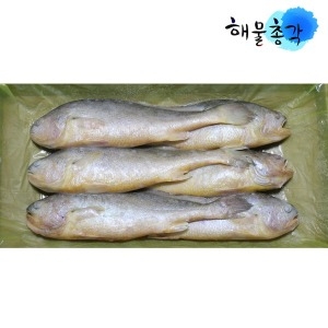 해물총각  부세조기 1박스 조기 굴비 제수용 생선구이 6미 특대