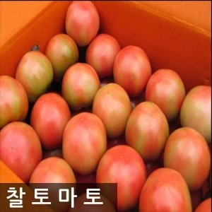 떙이네과일가게 명품찰토마토 3번 중과 10kg