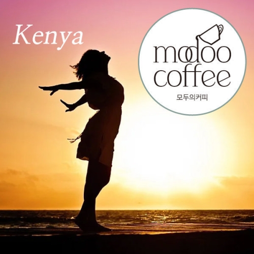 모두의커피  케냐 AA TOP 스페셜티 원두 500g