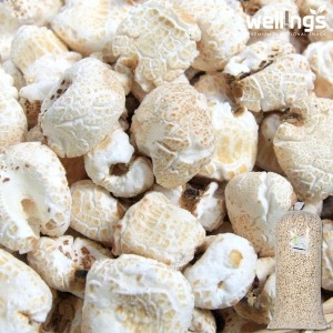 우리식품  찰옥수수강냉이5.5kg