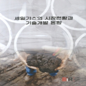 비아이알(BIR)  셰일가스의 시장현황과 기술개발 동향