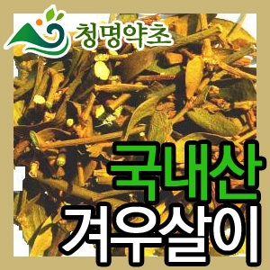 청명약초  겨우살이 300g