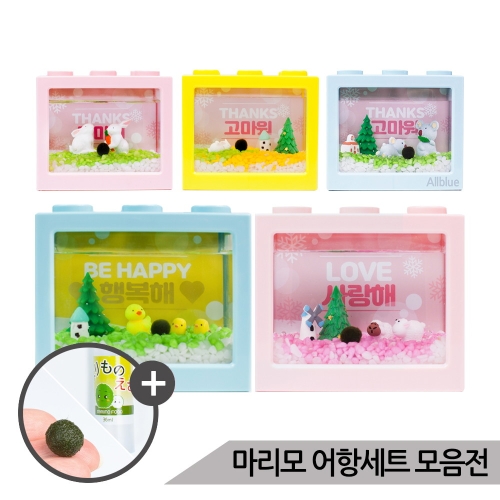 올블루 스폰지밥 마리모 키우기 세트