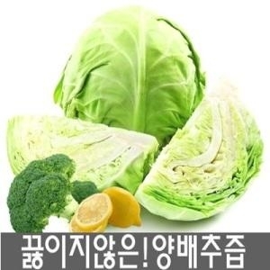 진성식품 물없이100 순수 양배추즙 100ml x 50개입