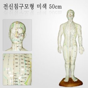 GB 전신 침구모형 50cm